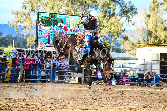 TumutRodeo2017_2784