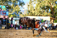 TumutRodeo2017_2776