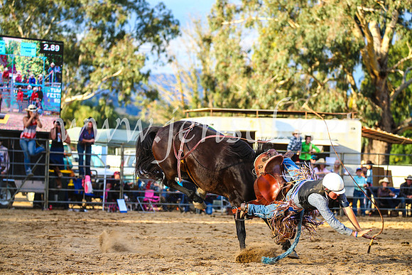 TumutRodeo2017_2776