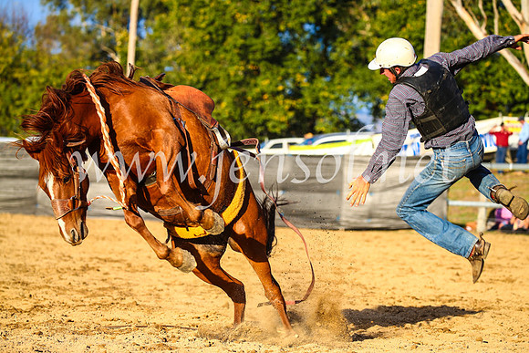 TumutRodeo2017_2919