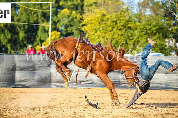 TumutRodeo2017_2873