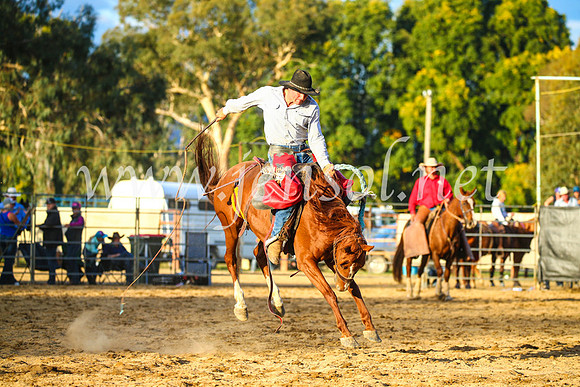 TumutRodeo2017_2955