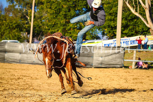 TumutRodeo2017_2910