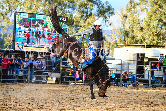 TumutRodeo2017_2789
