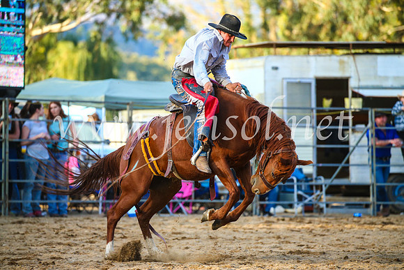 TumutRodeo2017_2939