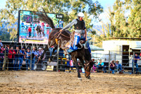TumutRodeo2017_2785