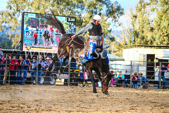 TumutRodeo2017_2785