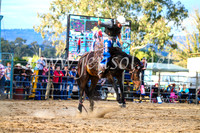 TumutRodeo2017_2767