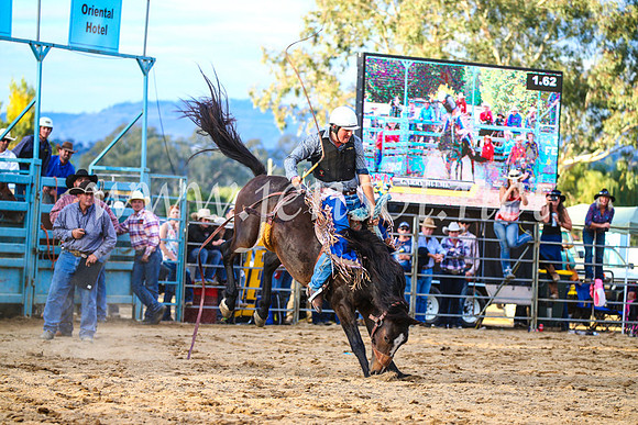 TumutRodeo2017_2774