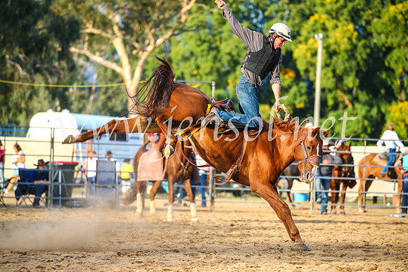 TumutRodeo2017_2861