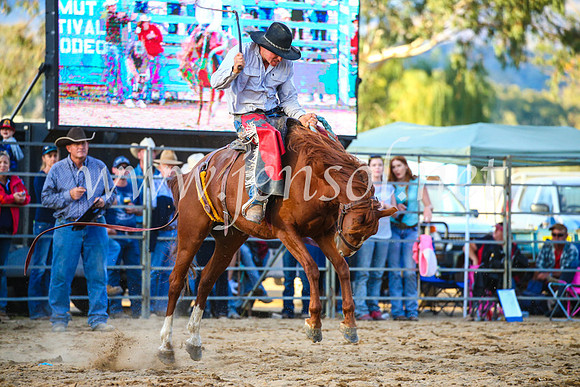 TumutRodeo2017_2927