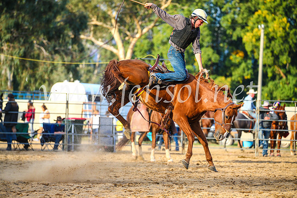 TumutRodeo2017_2860