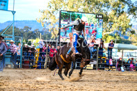 TumutRodeo2017_2766