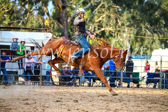TumutRodeo2017_2865