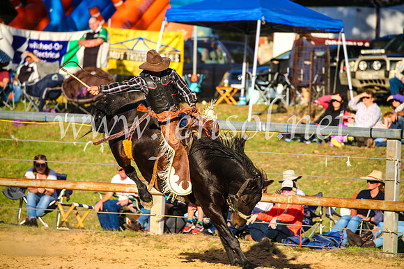 TumutRodeo2017_2811