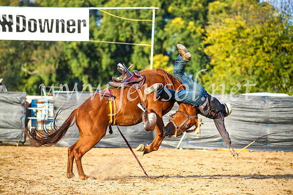 TumutRodeo2017_2872