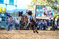 TumutRodeo2017_2773