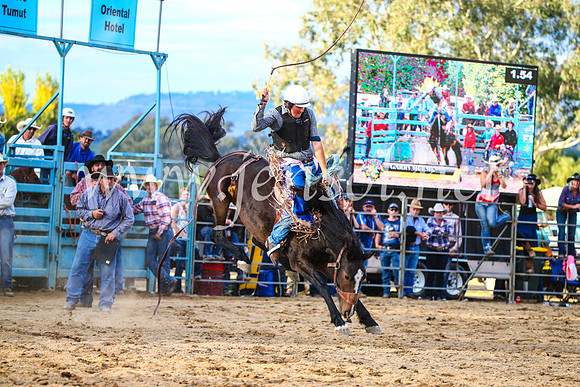 TumutRodeo2017_2773