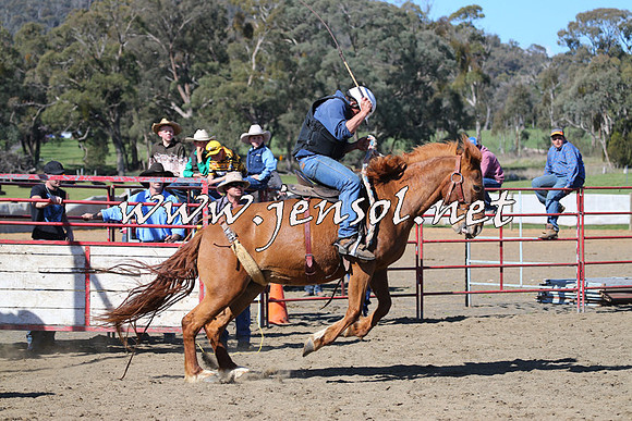 TumbarumbaStockmensChallenge_0697