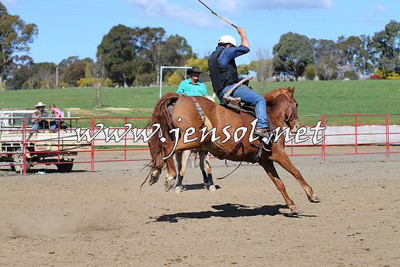 TumbarumbaStockmensChallenge_0718