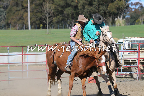 TumbarumbaStockmensChallenge_0756