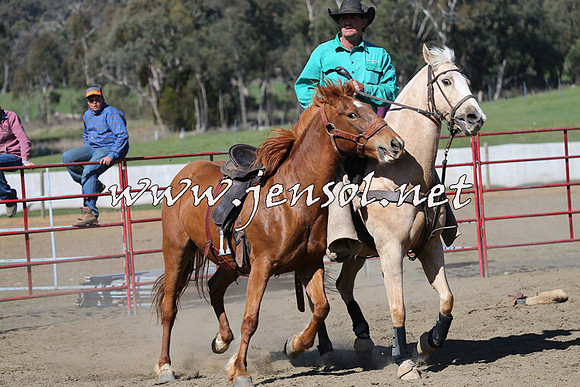 TumbarumbaStockmensChallenge_0725