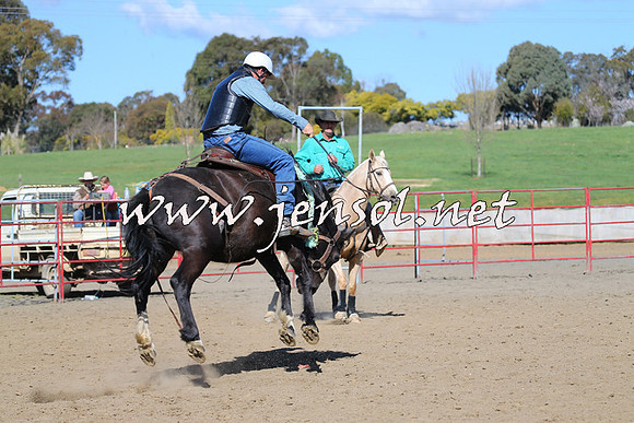 TumbarumbaStockmensChallenge_0662