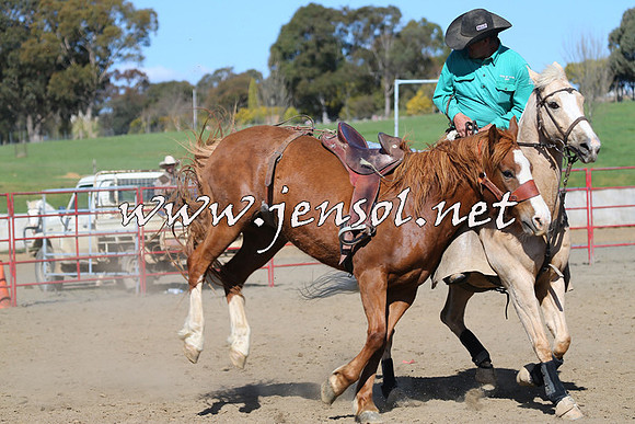 TumbarumbaStockmensChallenge_0769
