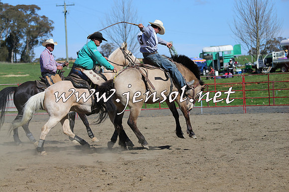 TumbarumbaStockmensChallenge_0602