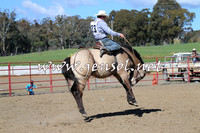 TumbarumbaStockmensChallenge_0589