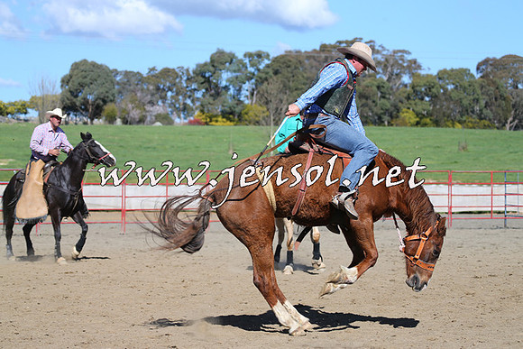 TumbarumbaStockmensChallenge_0624