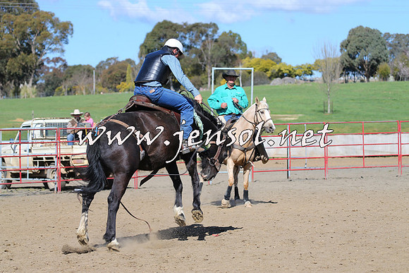 TumbarumbaStockmensChallenge_0666