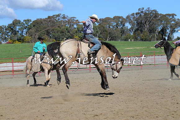 TumbarumbaStockmensChallenge_0593