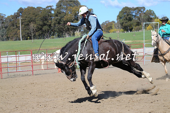 TumbarumbaStockmensChallenge_0693