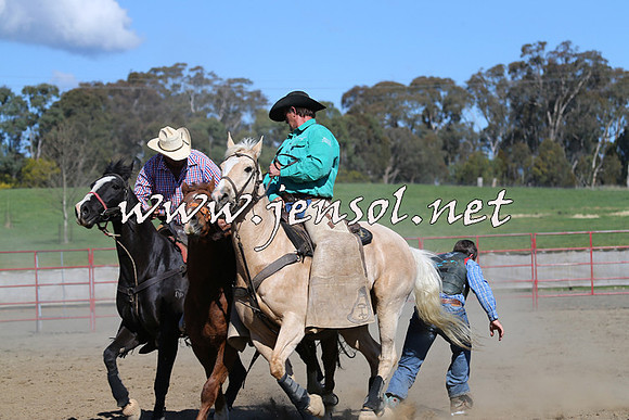 TumbarumbaStockmensChallenge_0639