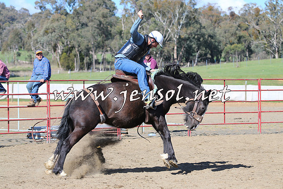 TumbarumbaStockmensChallenge_0654