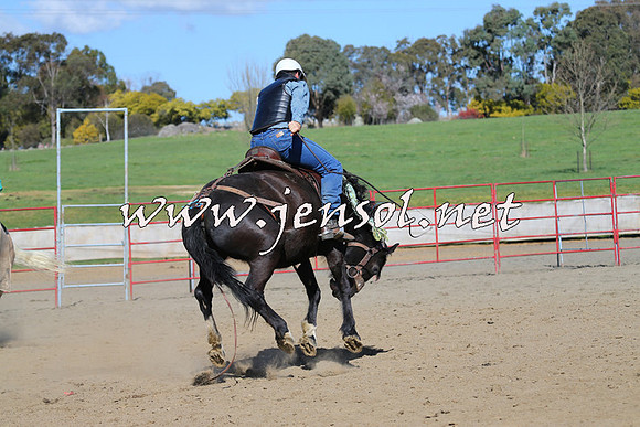 TumbarumbaStockmensChallenge_0677