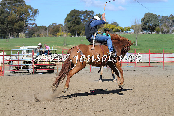 TumbarumbaStockmensChallenge_0717