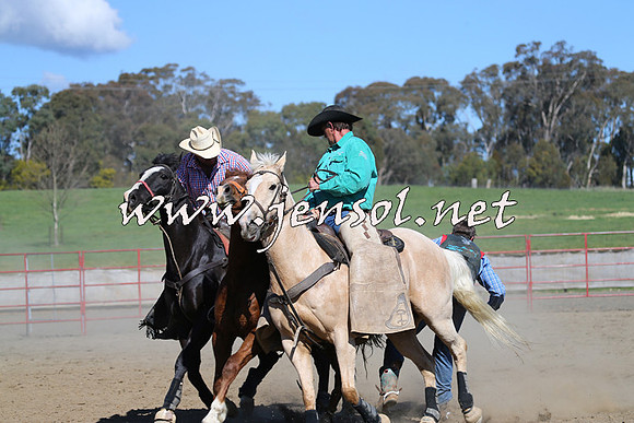 TumbarumbaStockmensChallenge_0641