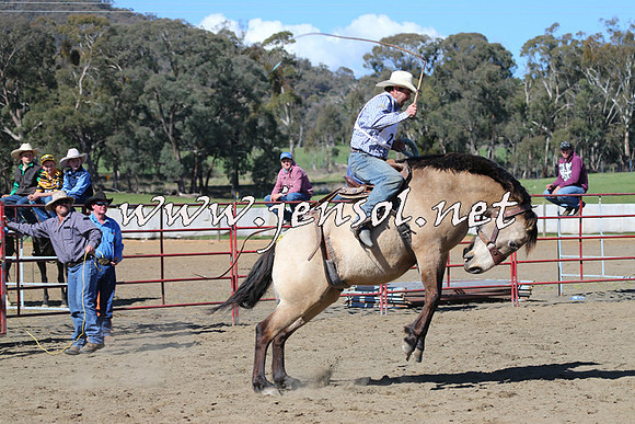 TumbarumbaStockmensChallenge_0566