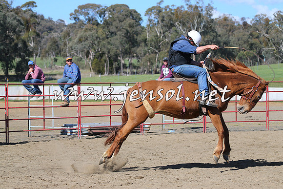 TumbarumbaStockmensChallenge_0713