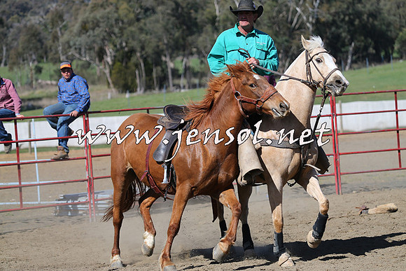 TumbarumbaStockmensChallenge_0724