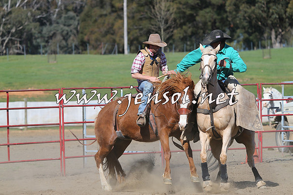 TumbarumbaStockmensChallenge_0764