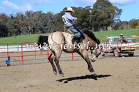 TumbarumbaStockmensChallenge_0587