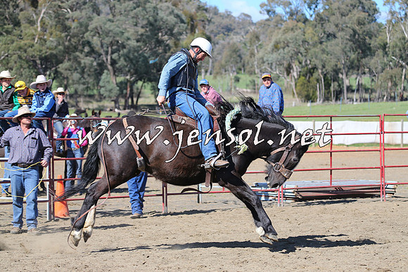 TumbarumbaStockmensChallenge_0652