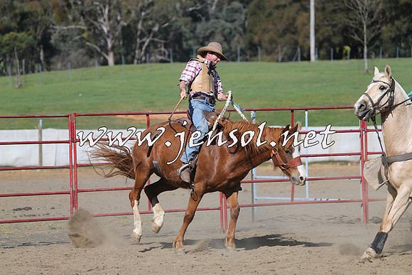 TumbarumbaStockmensChallenge_0761