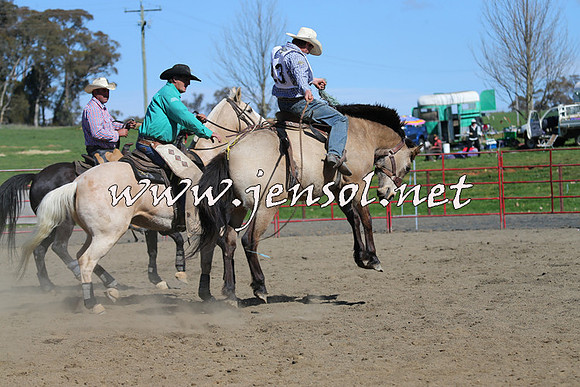 TumbarumbaStockmensChallenge_0601