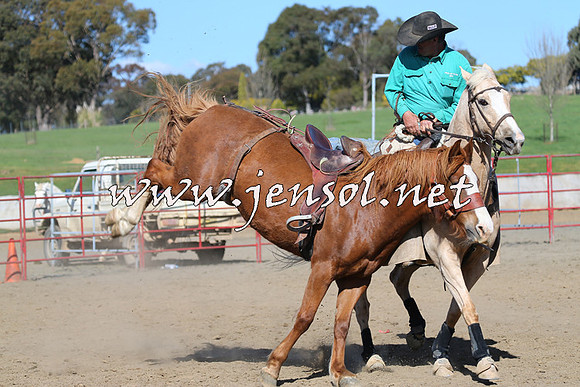 TumbarumbaStockmensChallenge_0770