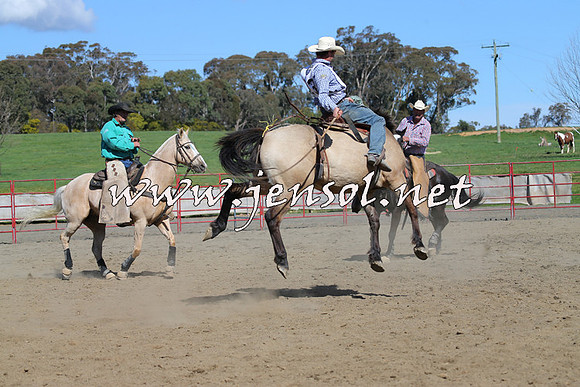 TumbarumbaStockmensChallenge_0592