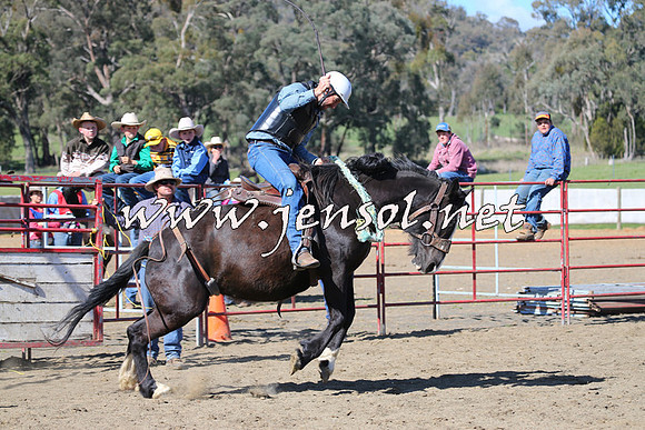 TumbarumbaStockmensChallenge_0644